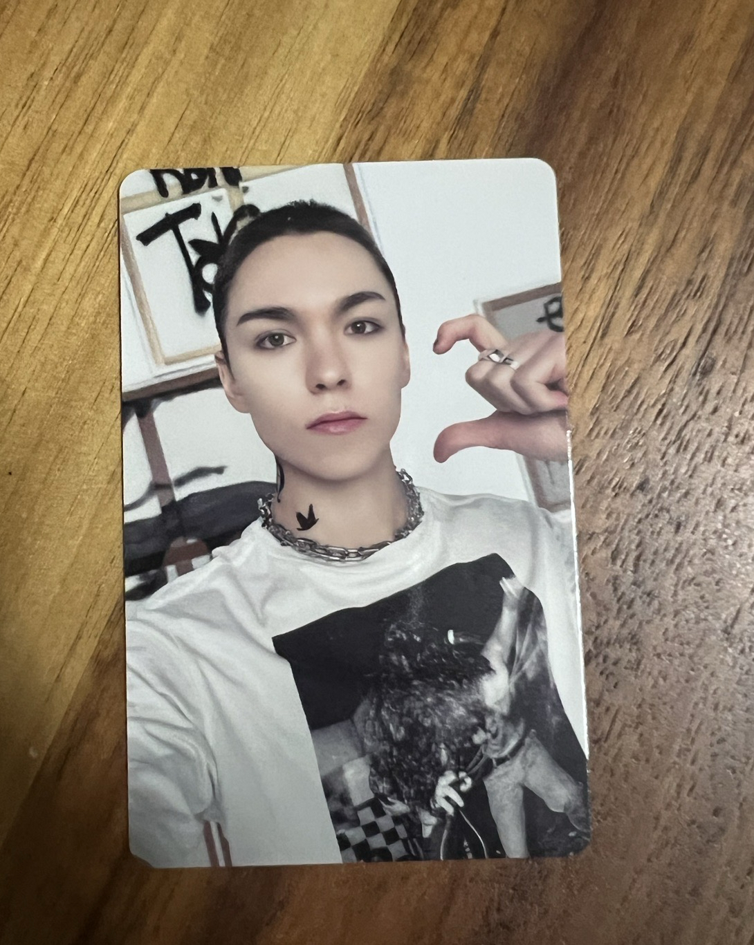 正五克拉盤Vernon 