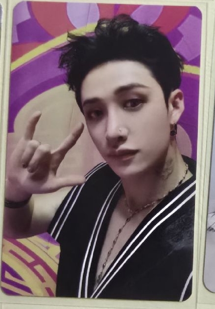 Maxident 樂天 特典 燦