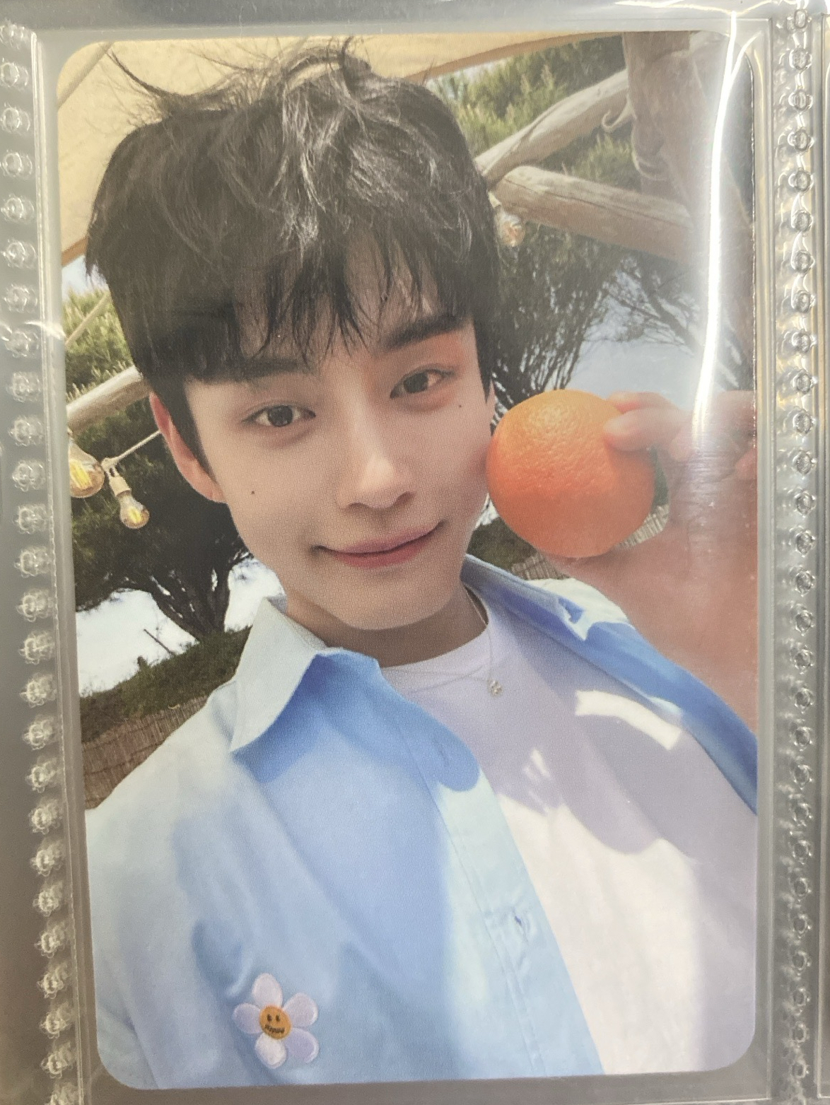 金地雄 二期會員禮小卡（2張一組）