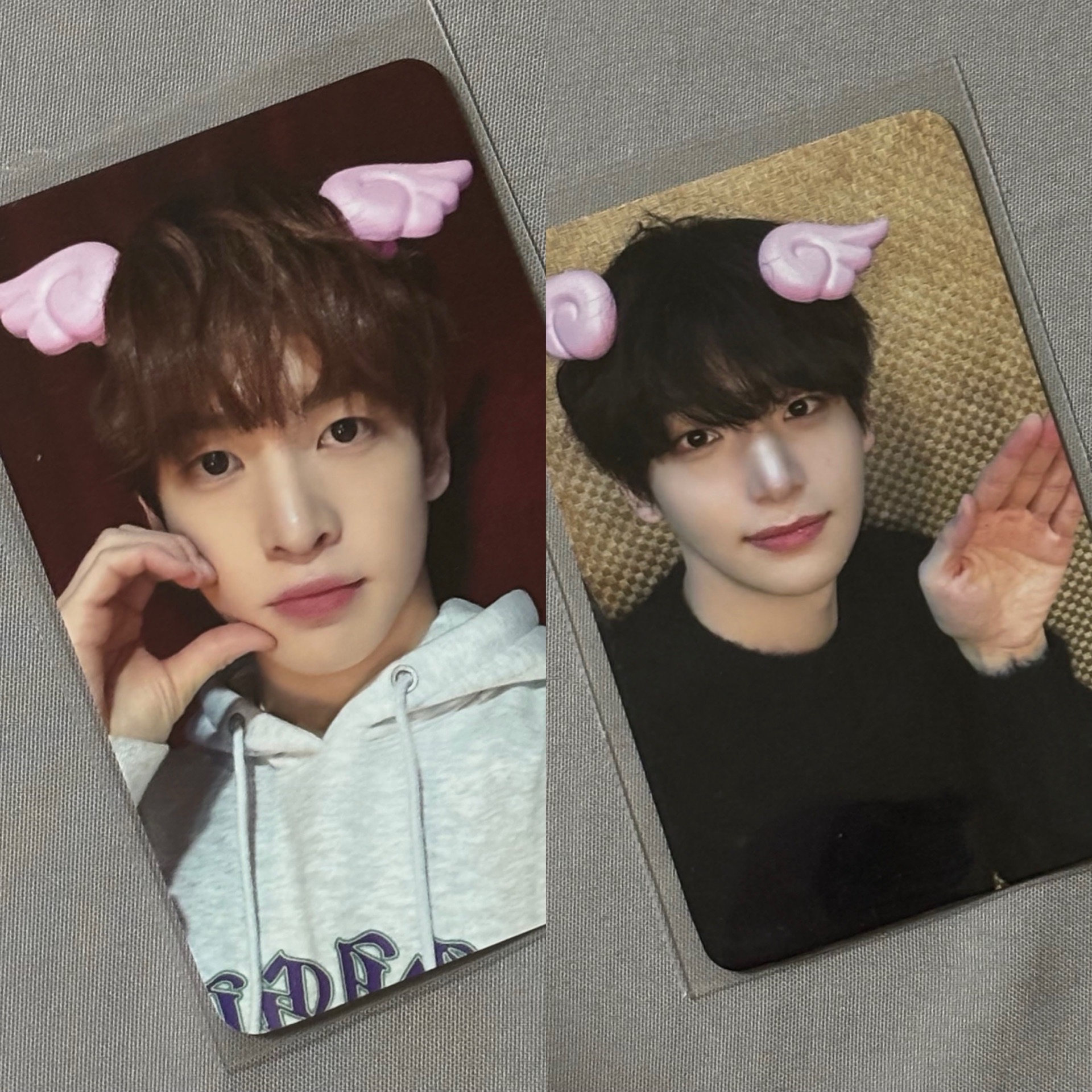 CEAVITY FTO wm 4.0 翅膀髮夾