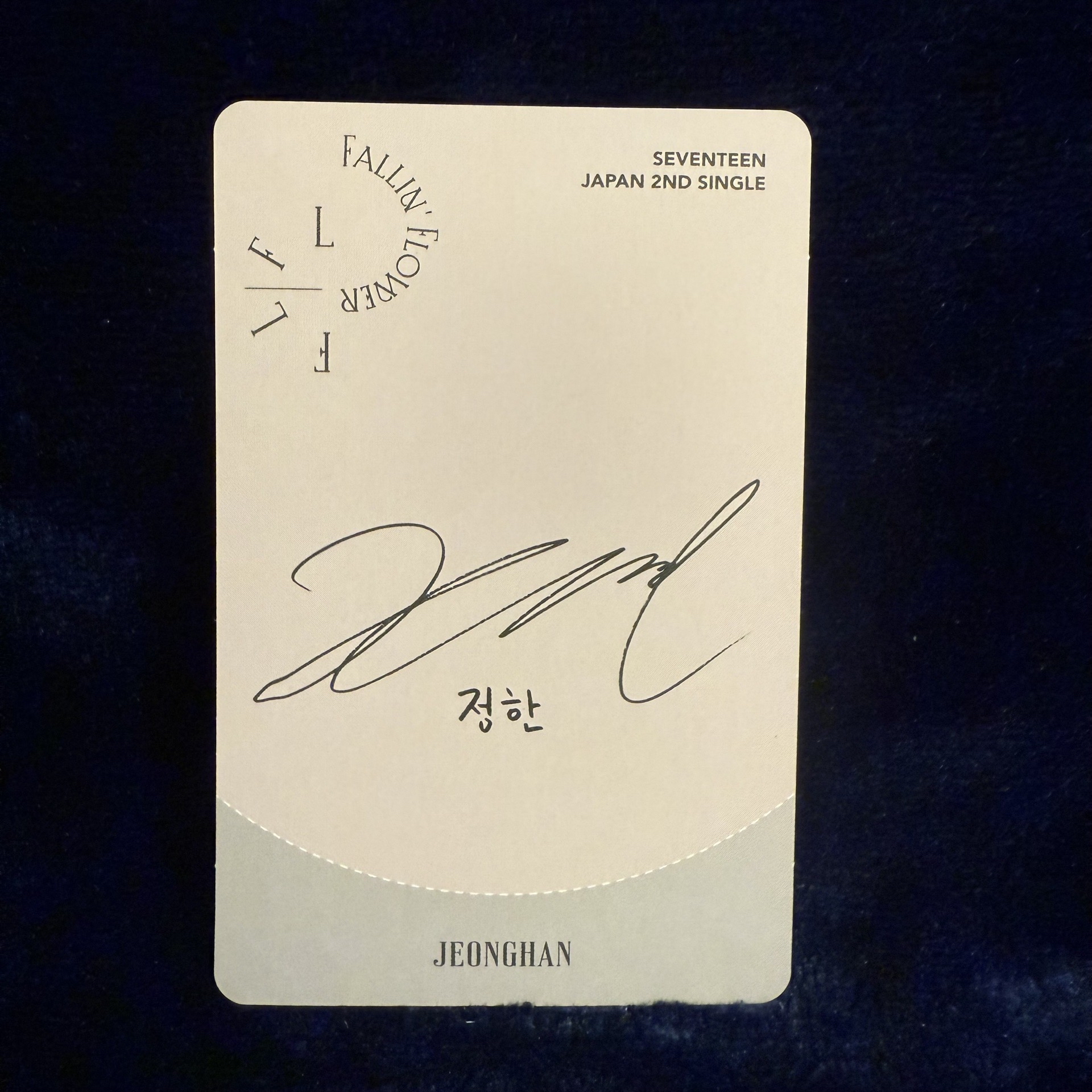 Falling Flower 落花漢