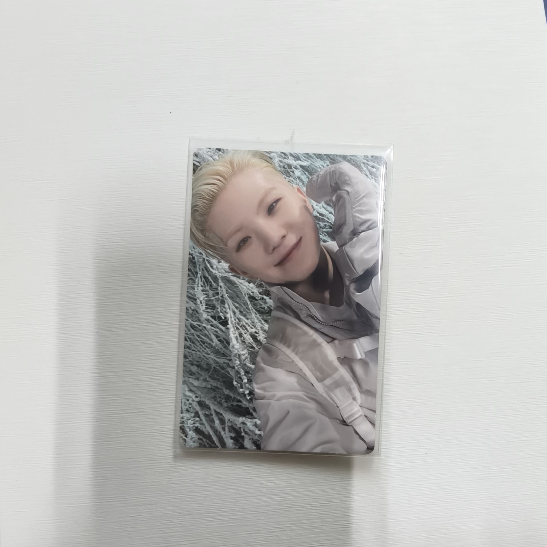 WOOZI 正四後續 SECTOR17專卡