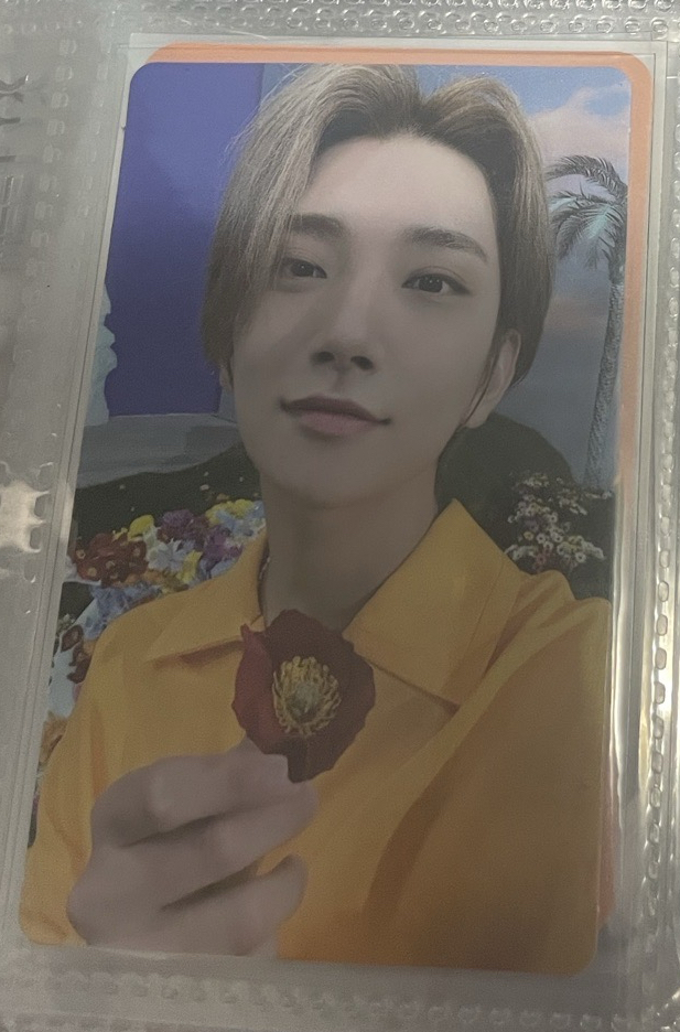 洪知秀 正四後續 KIT專卡