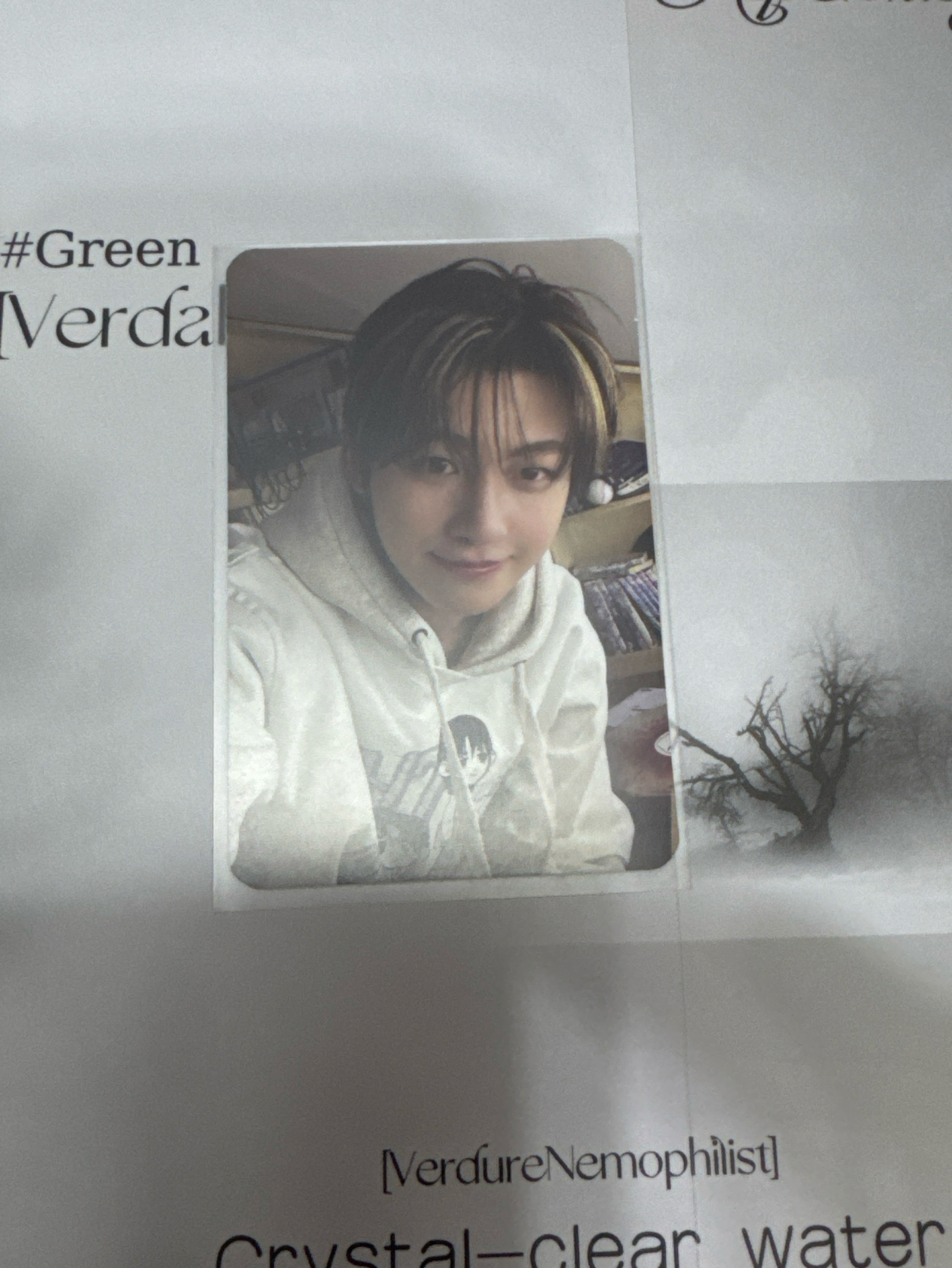 TRY WITH US 單封卡-志薫