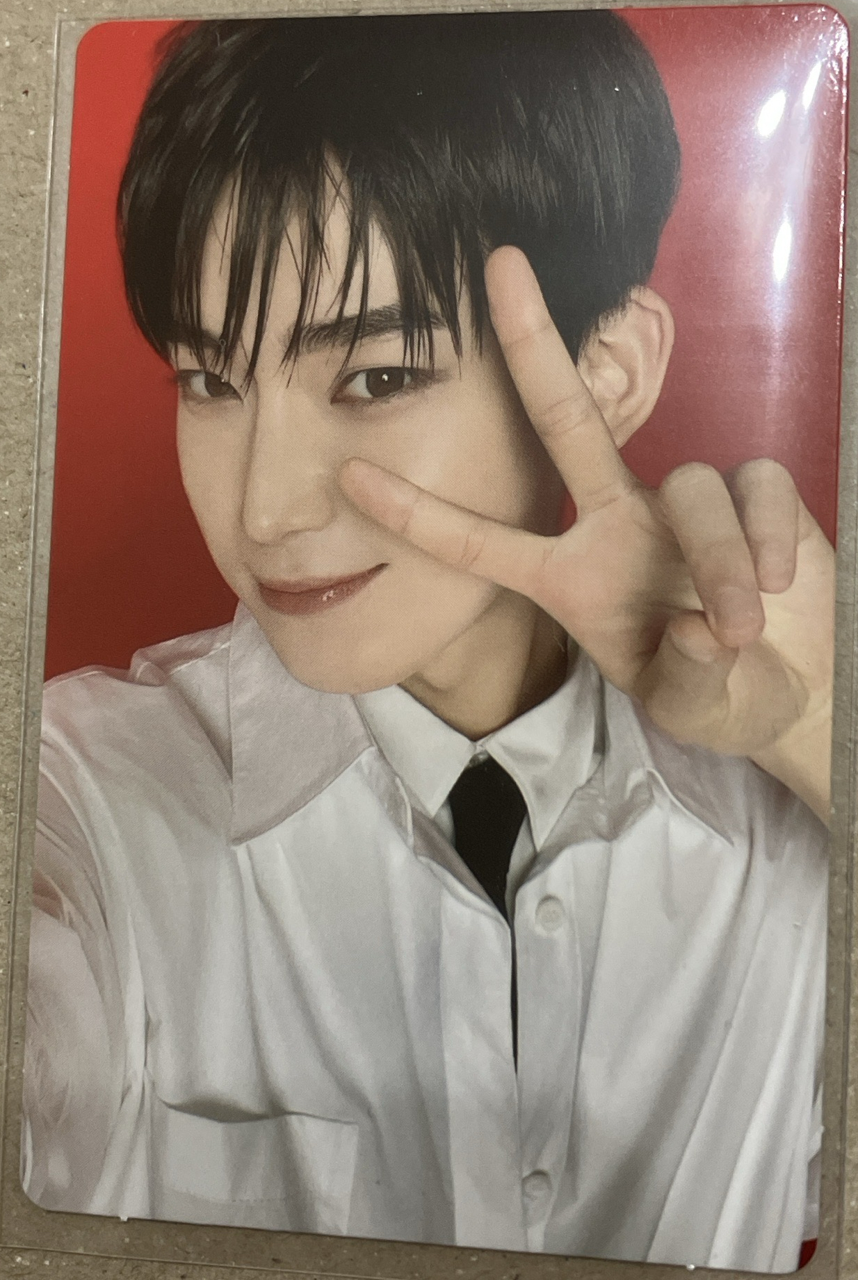 wtl 隨機卡包 禹