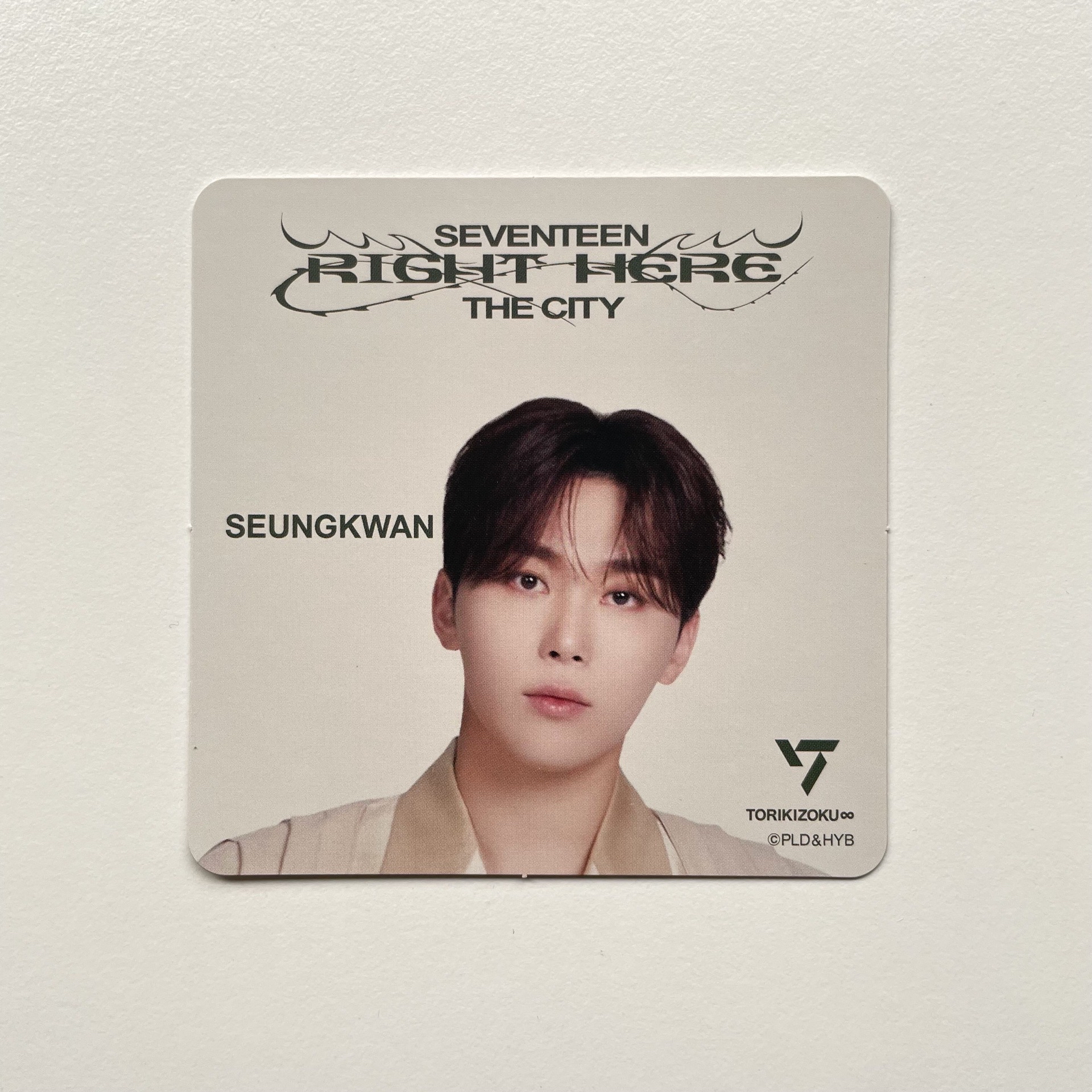 SEVENTEEN SEUNGKWAN RIGHT HERE杯墊