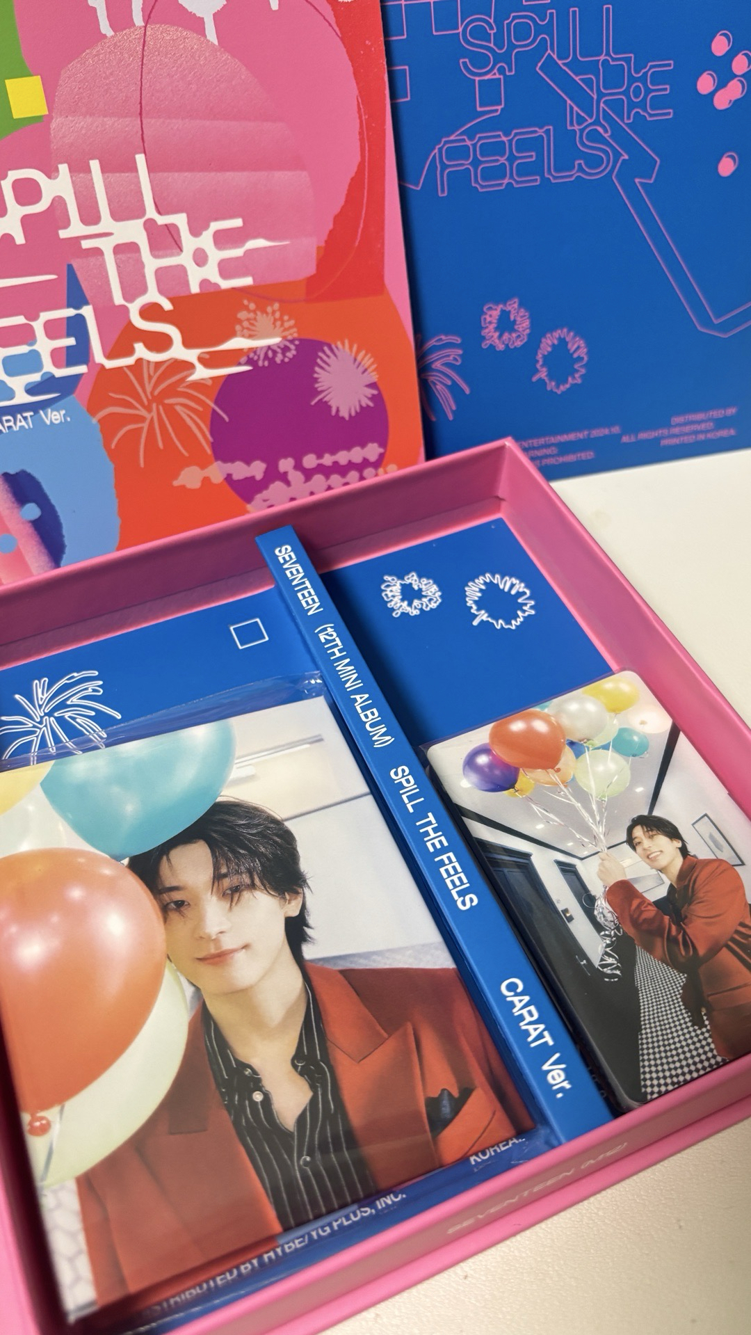 Seventeen <MINI12>克拉盤（圓）全專