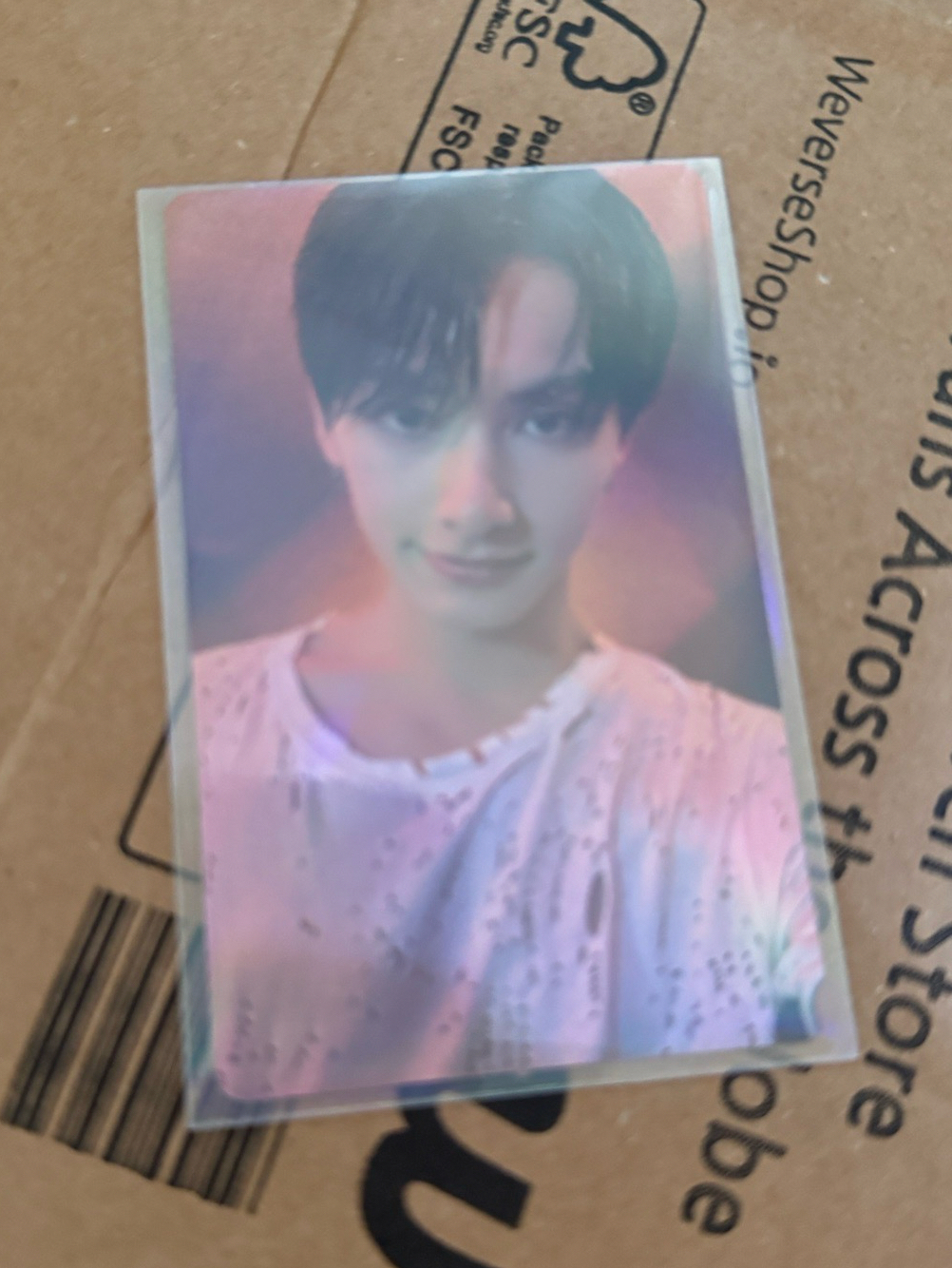 迷11 wvs 特典 俊