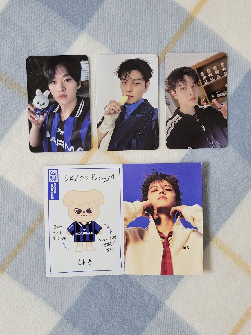 Stray Kids KARMA SKZOO ver.