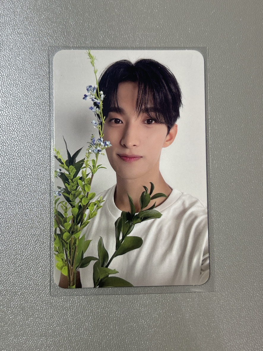 碩 親愛盤隨機卡