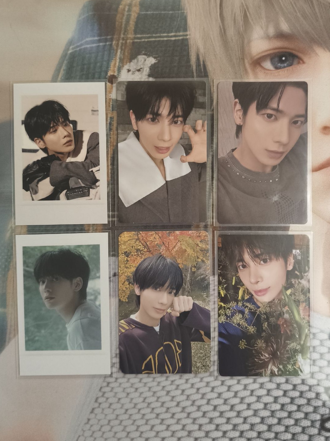 TXT mini7 顯 🐈‍⬛ wvs貓爪 數星星中文卡背 wvs線下 am拍立得