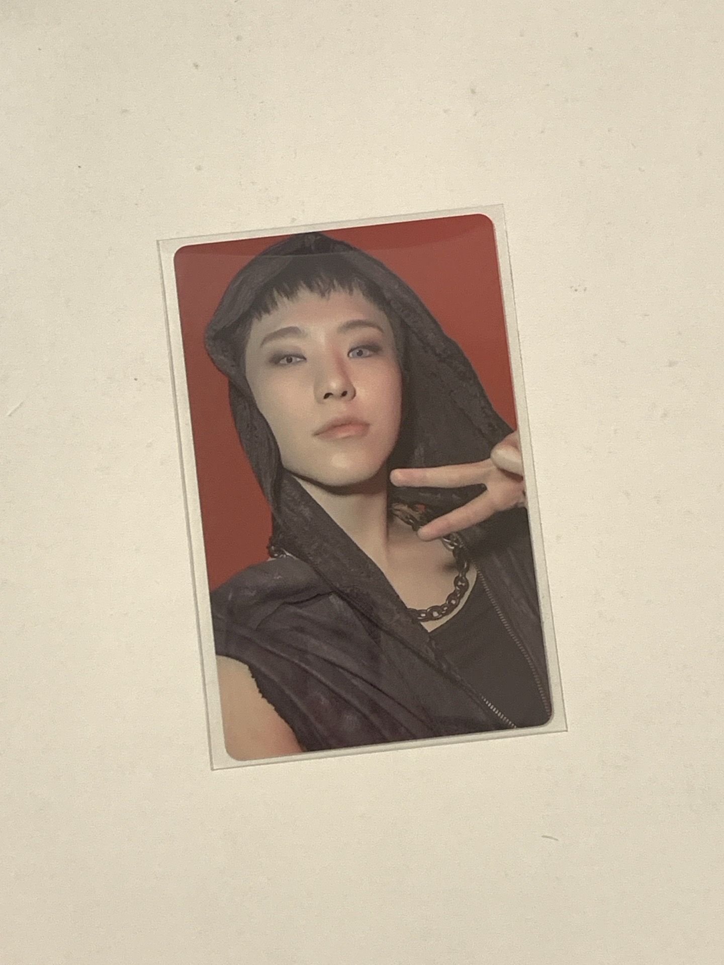 榮 正規五wvs特典