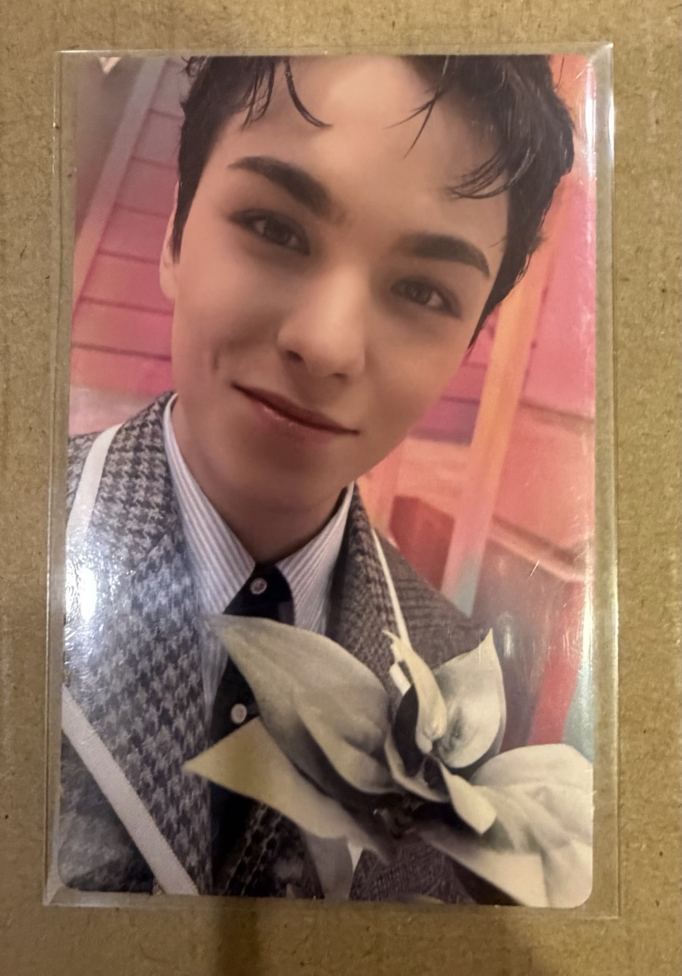 率 精選專 wvs carat 特典卡 