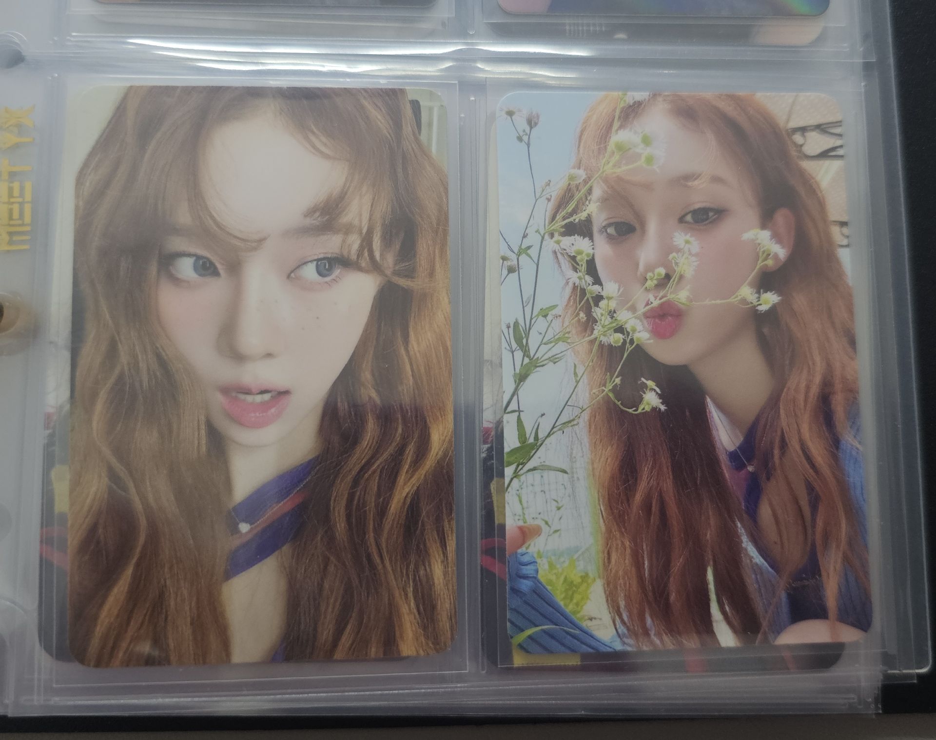 better things 捲毛冬 聞花冬