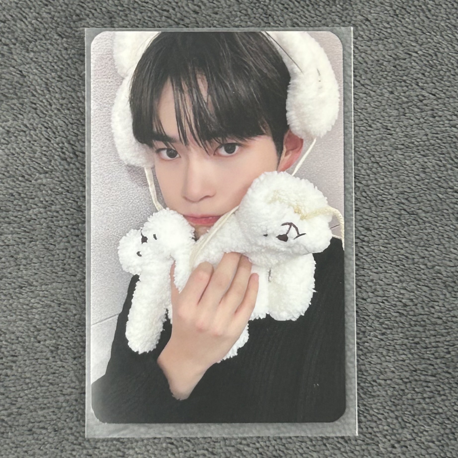 ZB1 成韓彬 迷二ms北極熊ver.