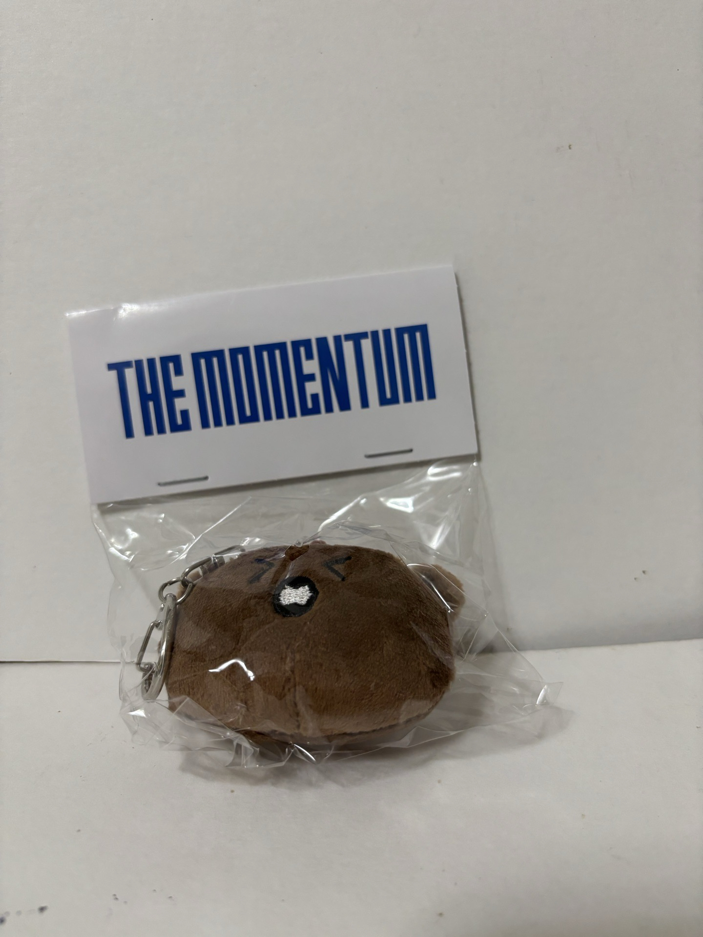 NCT127 楷燦 日巡娃