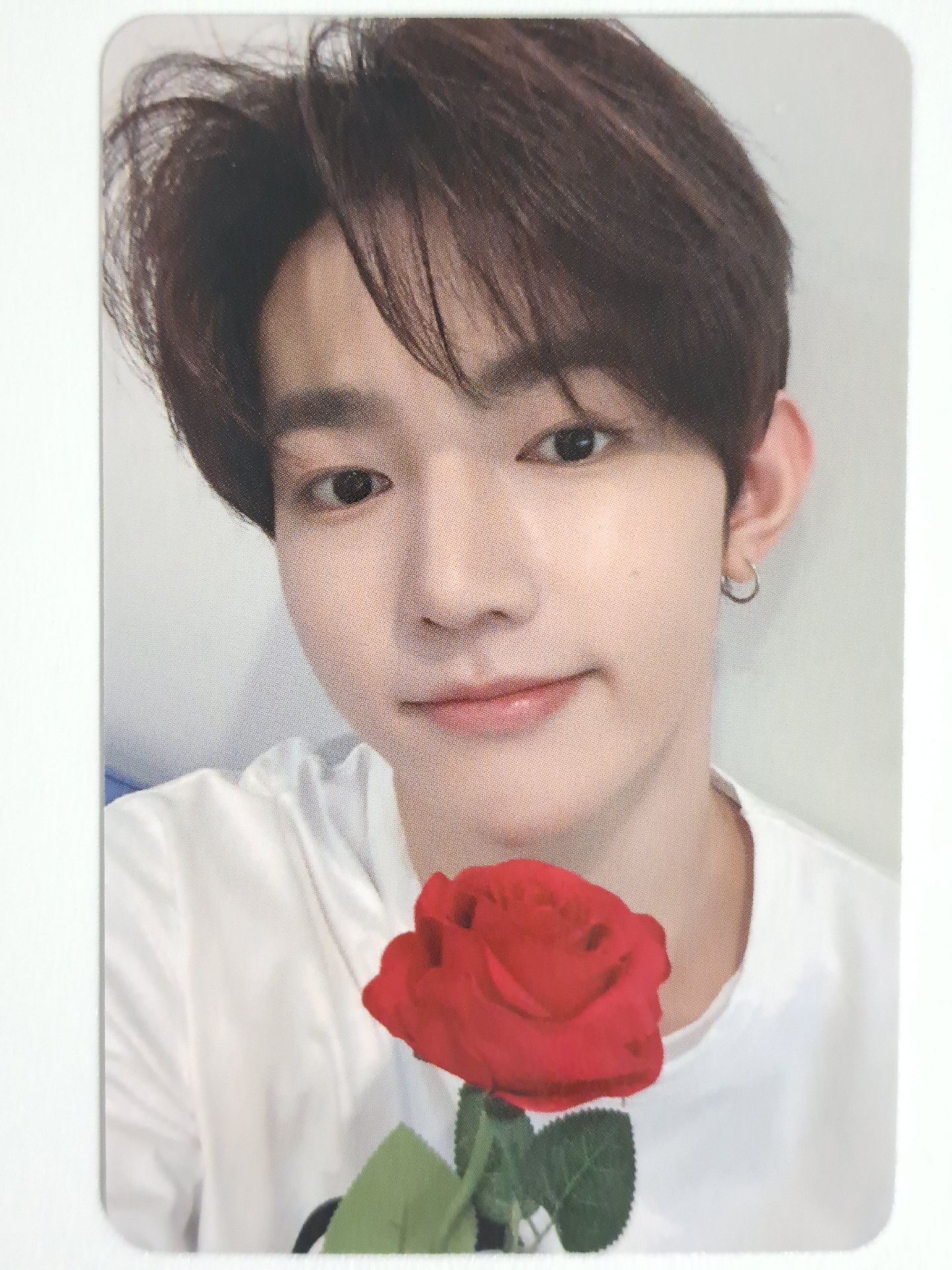 迷四 sr 3.0 特典卡 七夕玫瑰昊 地区有时差 爱没有时差