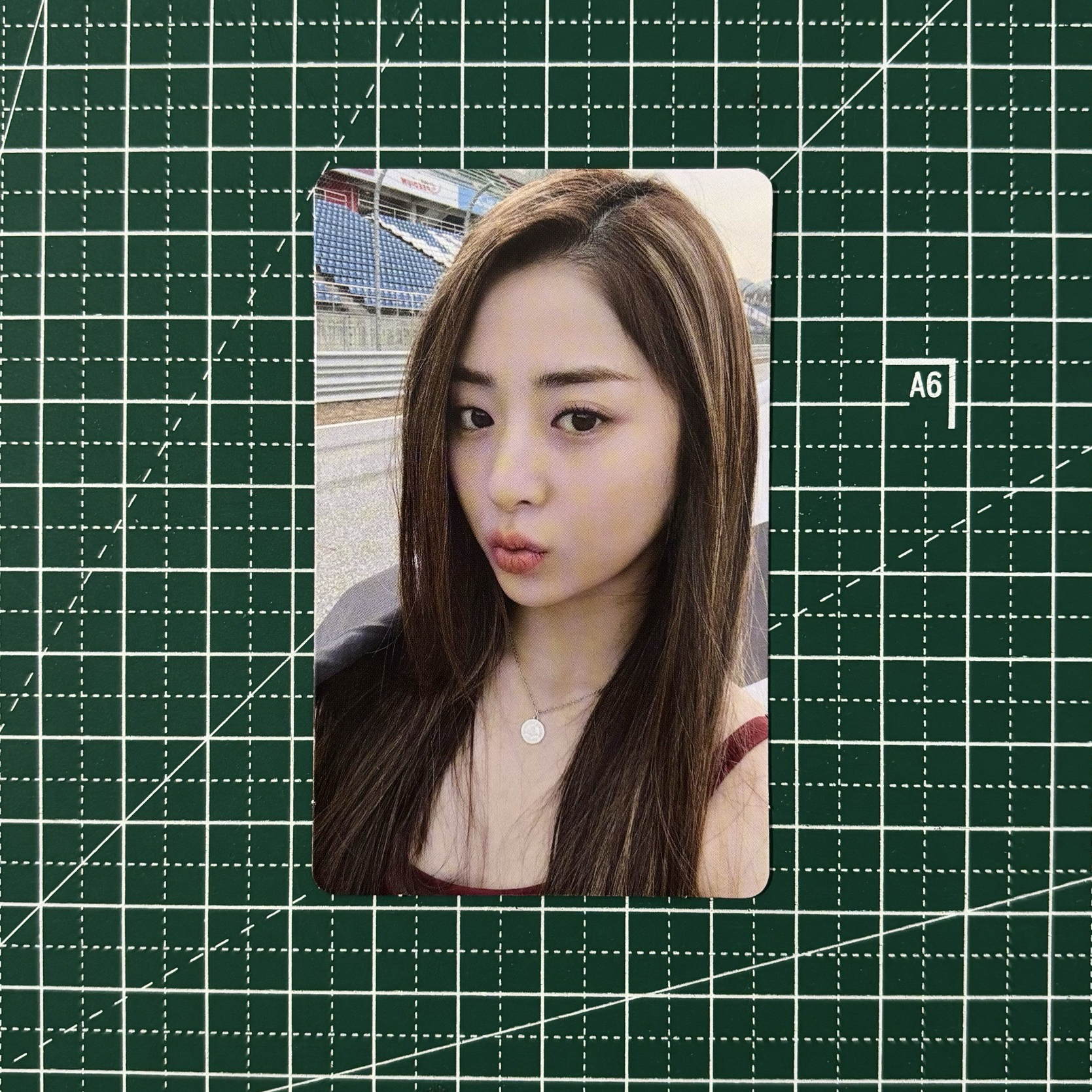 𓊆 無畏專輯卡 🐶𓊇