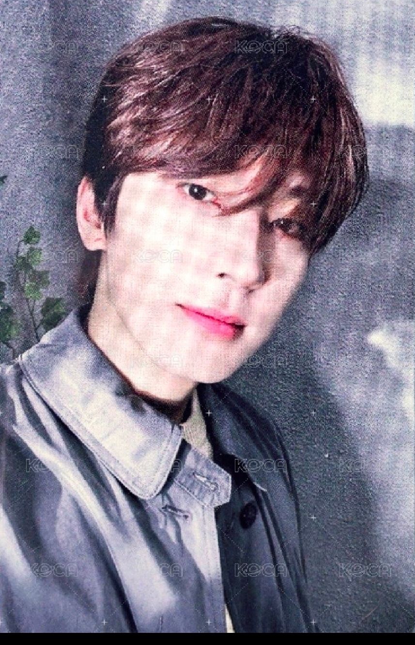 消費期限 專輯卡 ｜通常ver.❤️(200)