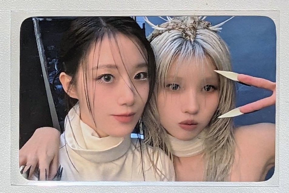 七週年展覽 花卷卡