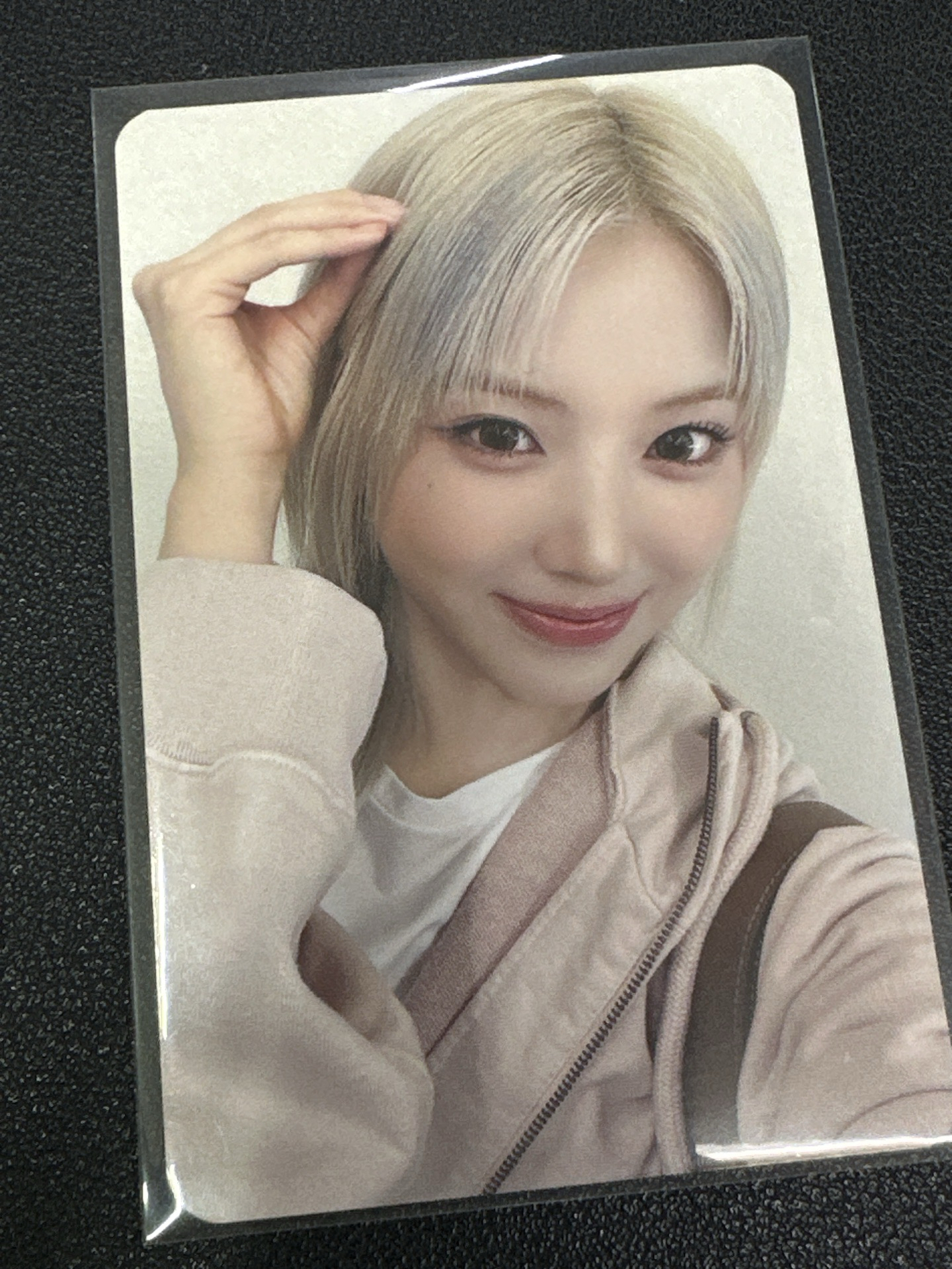 松餅耳友 狗耳友