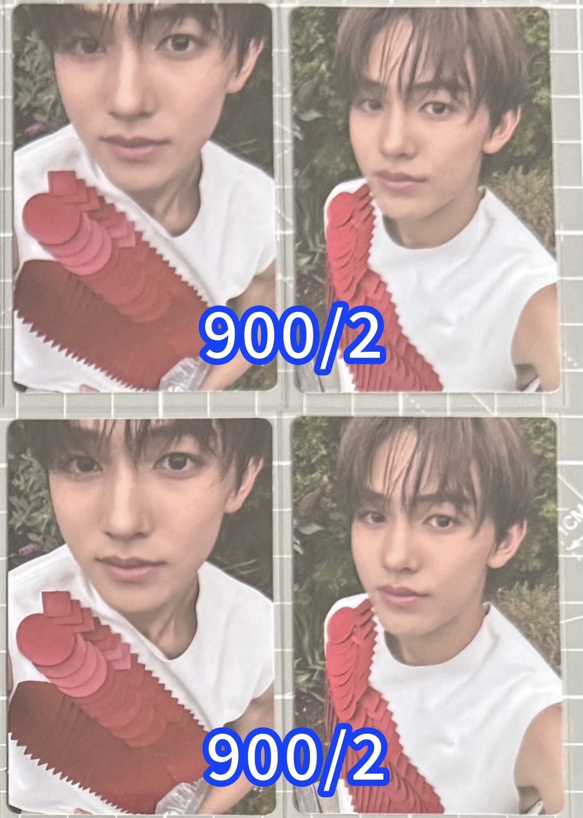 Cortis target/美通 玹小卡