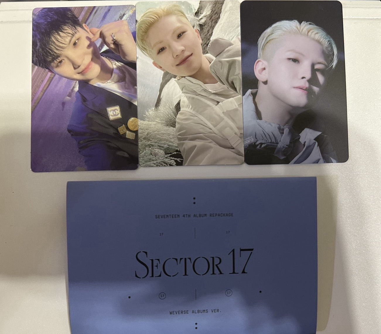 sector 17 正規四後續 電子專 woozi/未掃