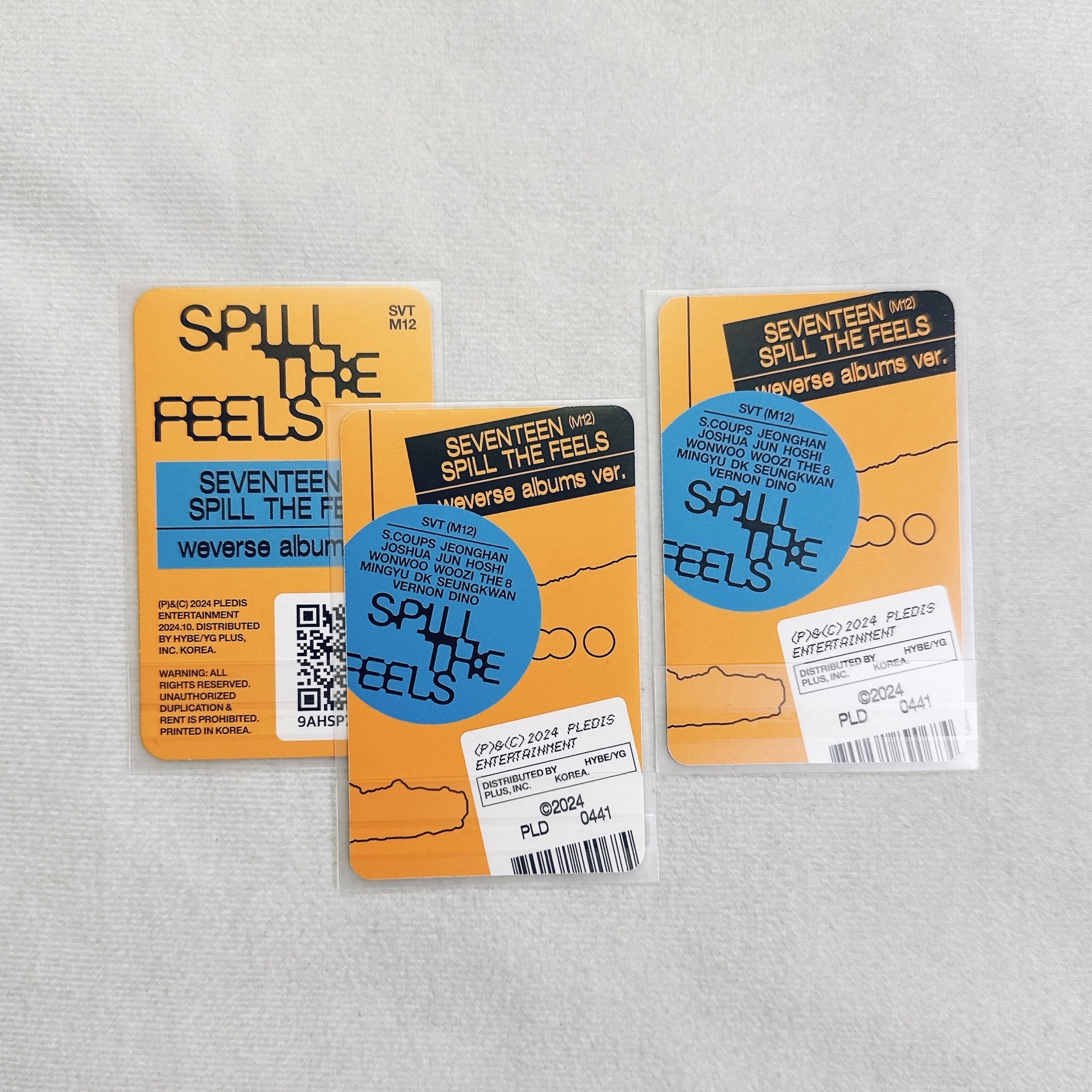 🐻‍❄️MINI12 專輯卡 ｜WVS電子專 ver.