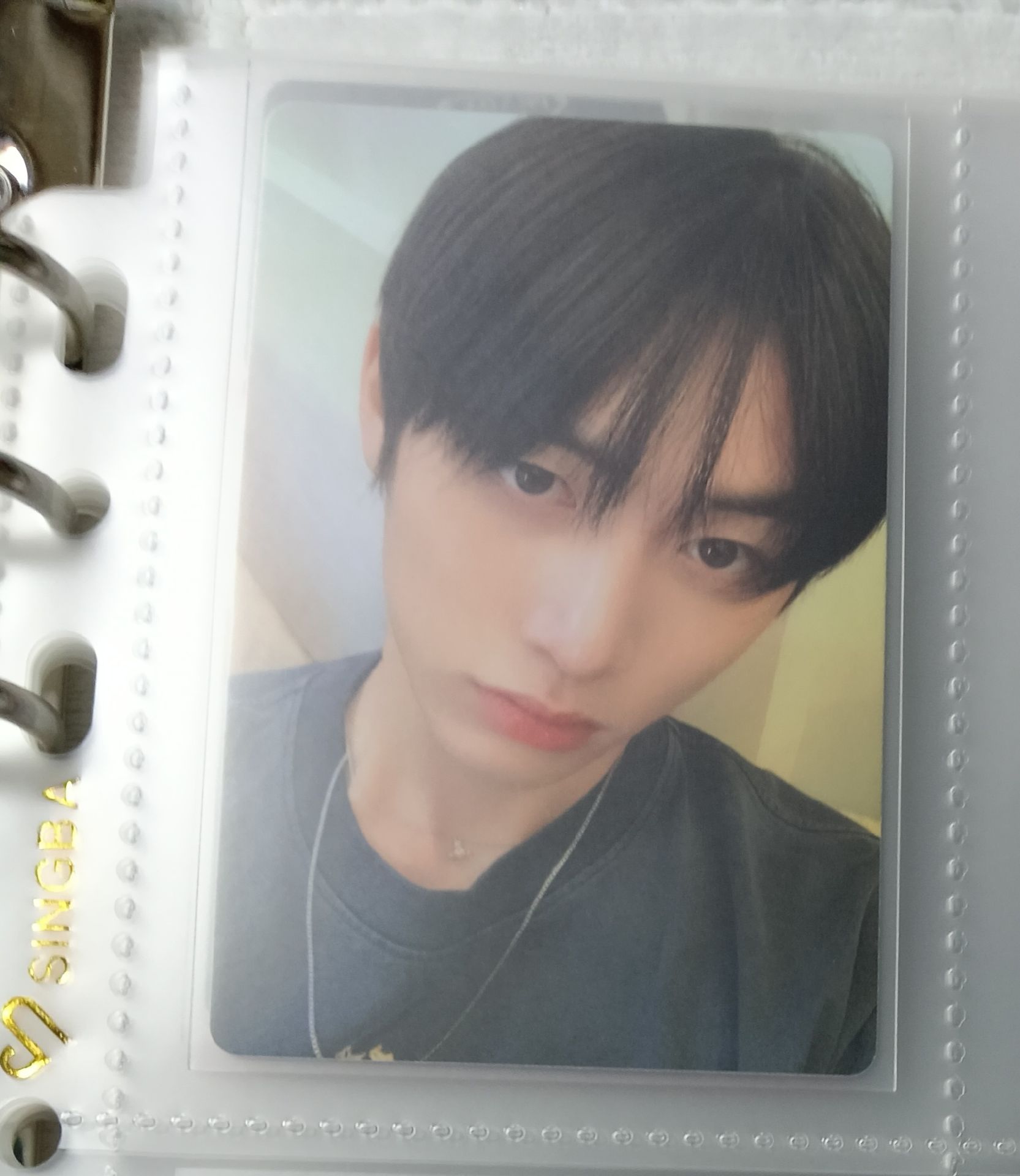 WHO 專輯卡 泰山