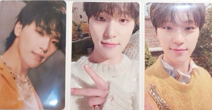 Face The Sun wvs專 Dino