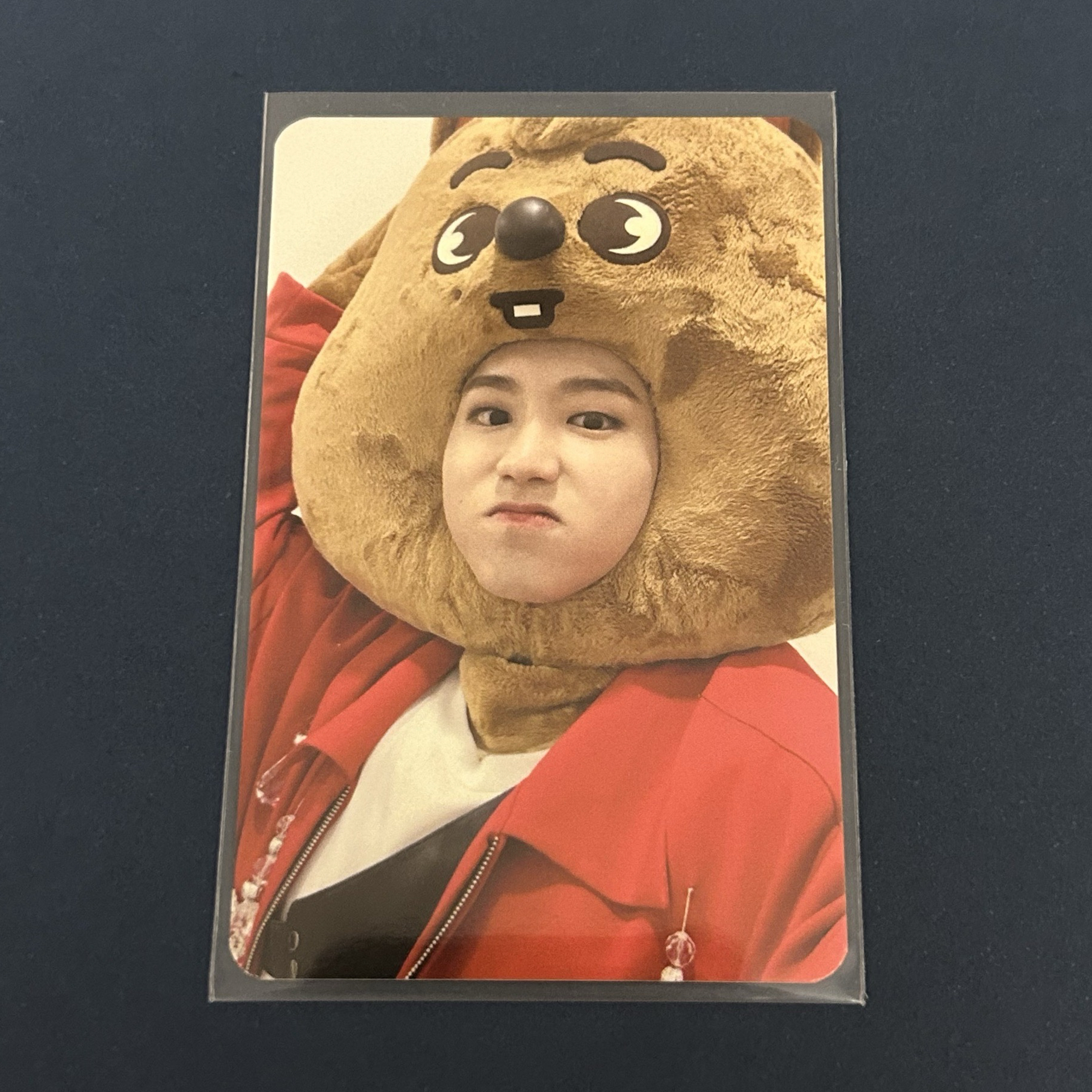 不簡單 Noeasy sw大頭城1.0