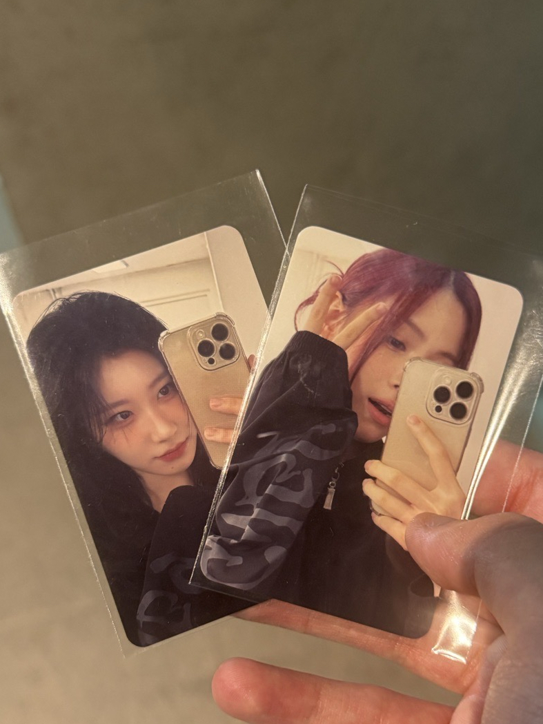 GWBG 風衣卡 彩領