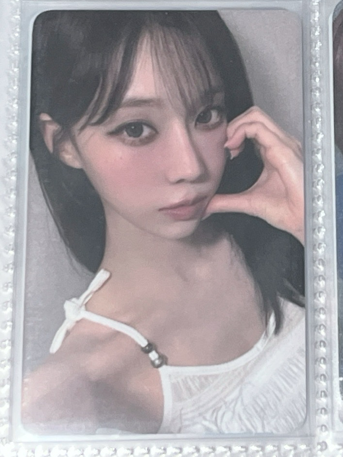 EL冬