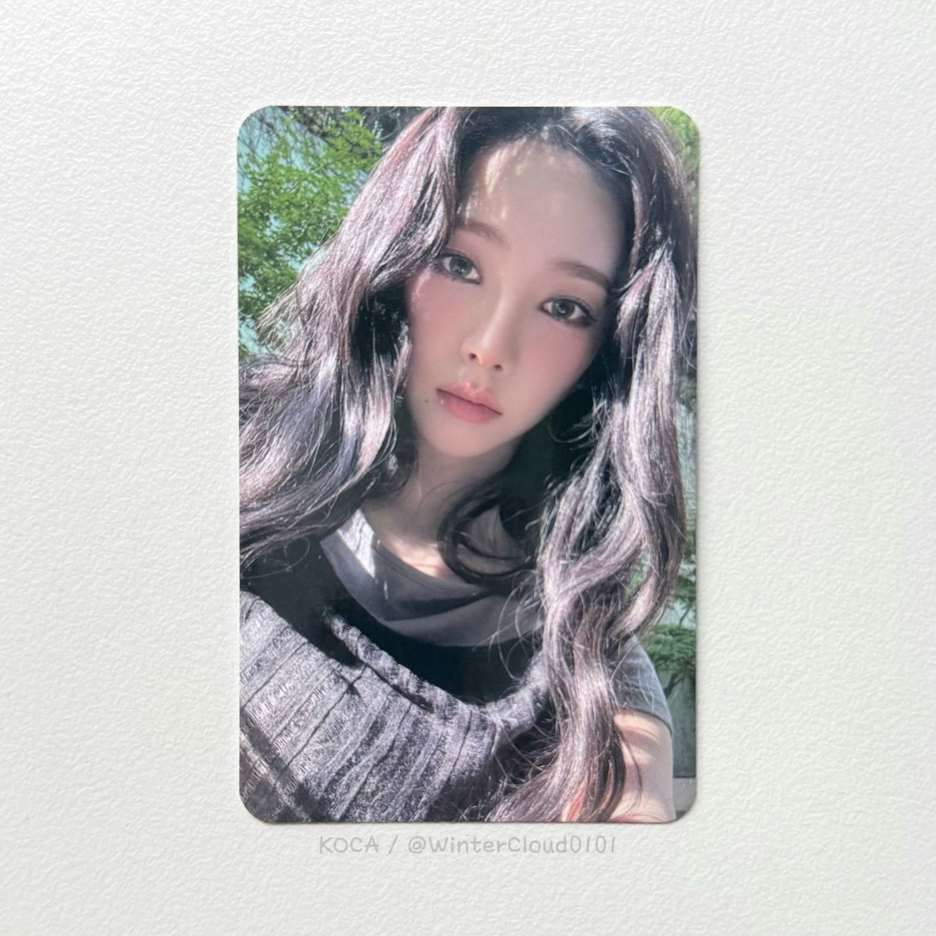 Armageddon 釜山簽售柚