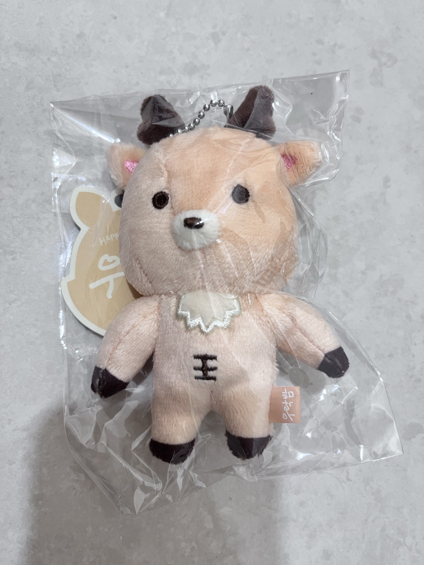 RIIZE 情人節 烏拉鹿 原皮