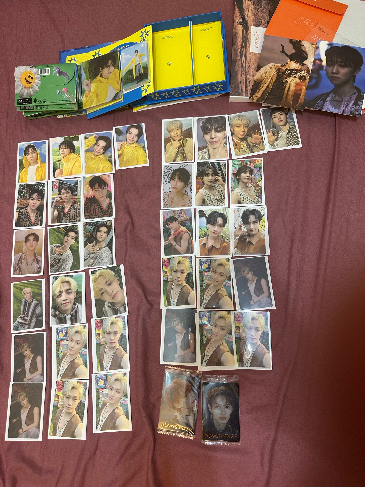 seventeen 全專小卡如圖