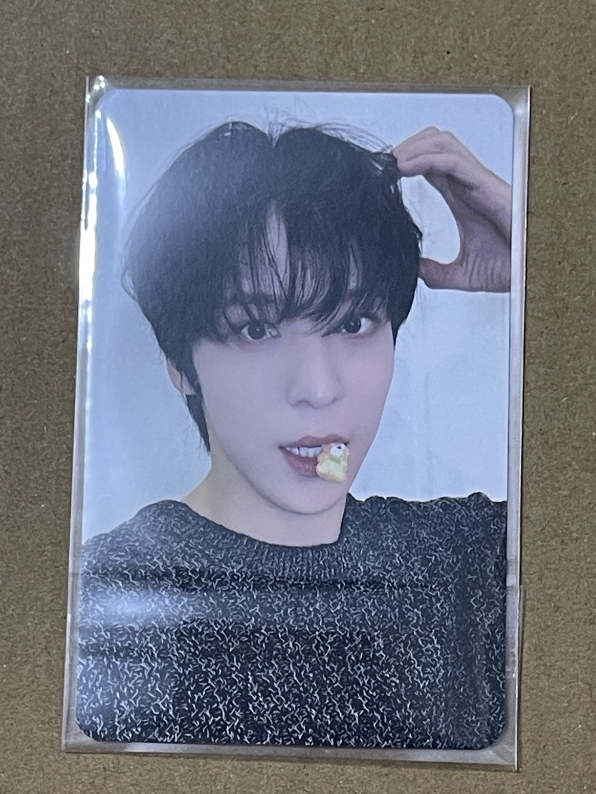 潤浩 狗狗耳咬小熊軟糖