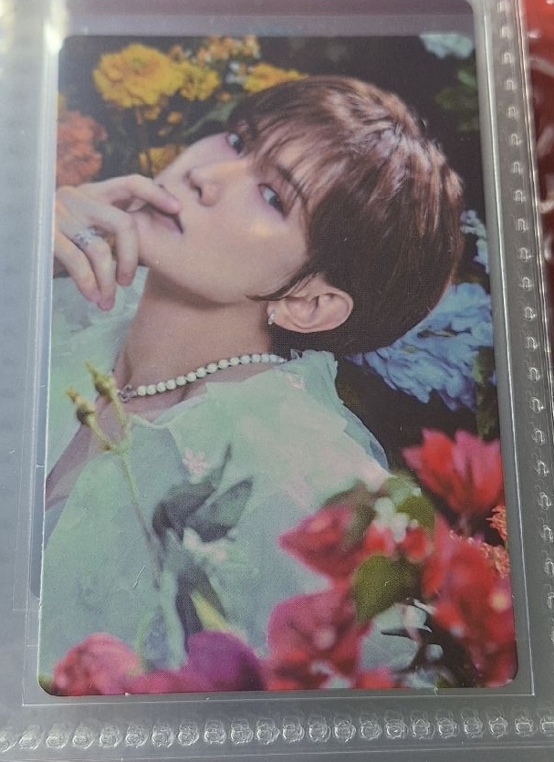 姜呂尚 人比花嬌