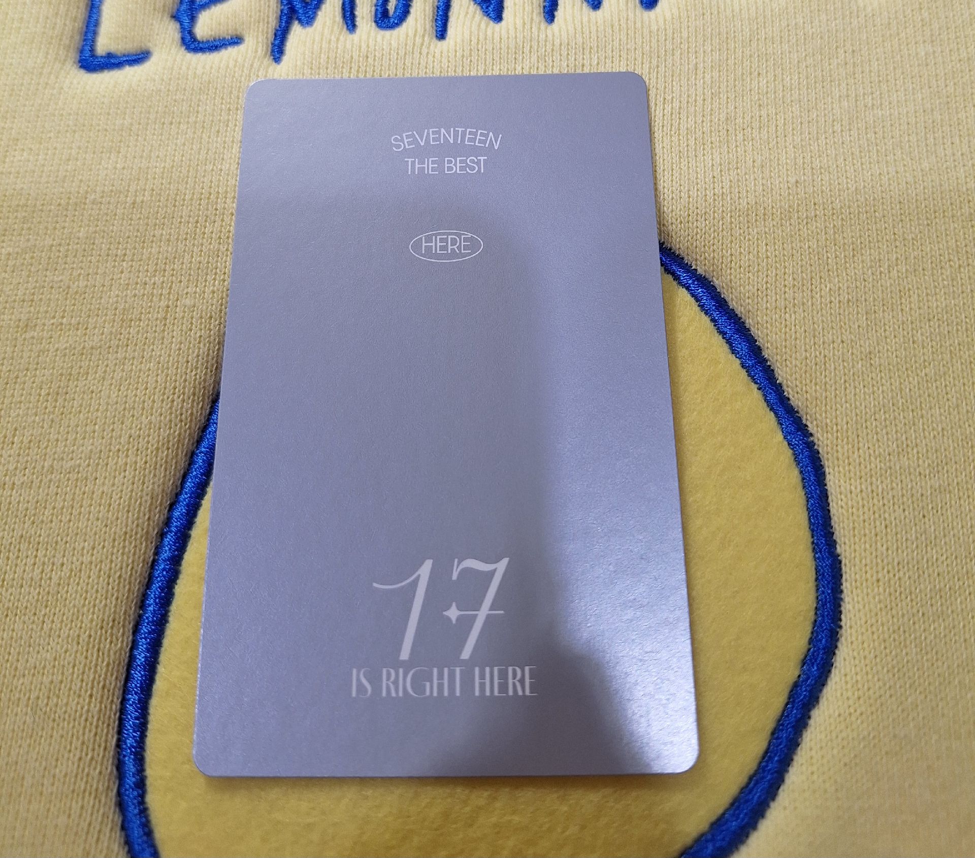 17 is right here here ver. mingyu