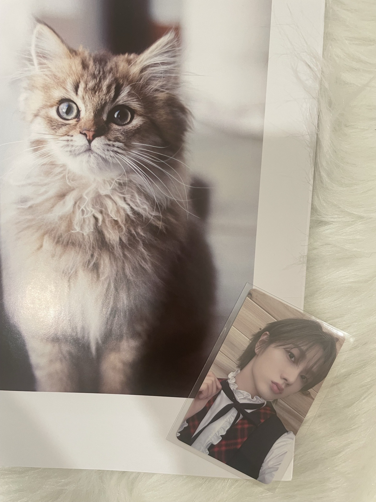 【BND】塔店幸運卡 1