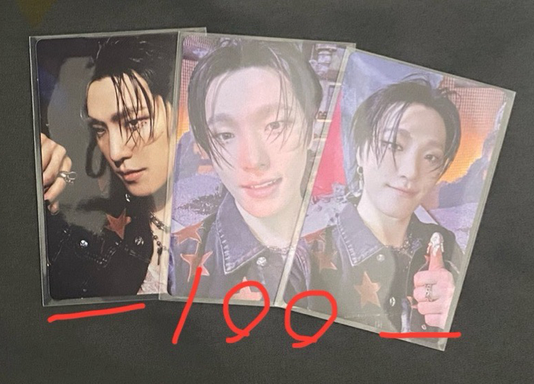 李燦 正五 WVS一套