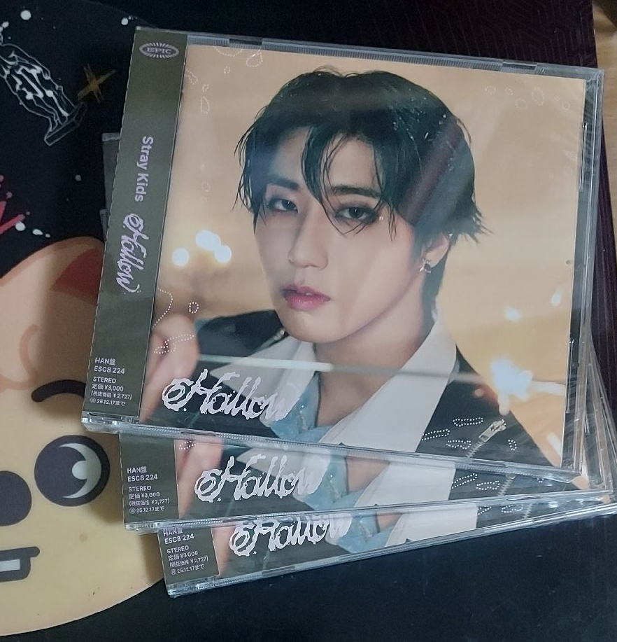 【skz】hollow 韓知城 單封未拆專