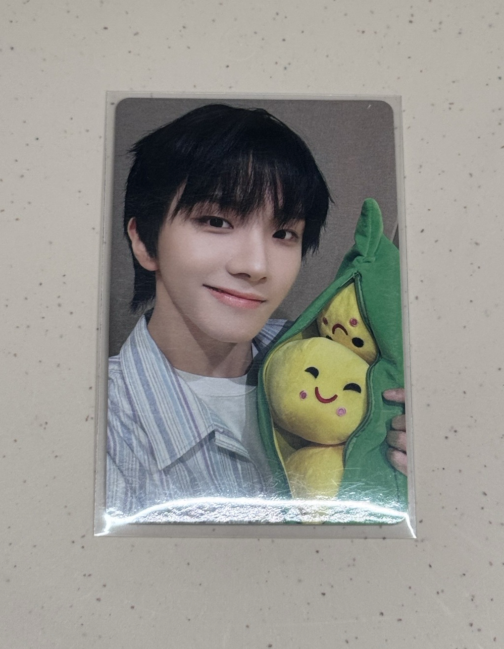 ❄️19.99一直娛 雲鶴