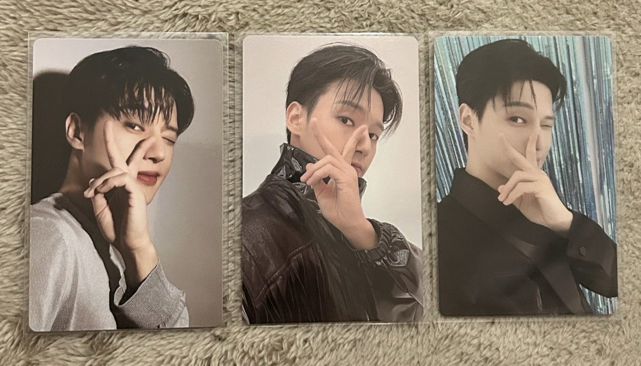 TTL WILL TO POWER 周邊卡 2024 Photocard Pack V/ᐠ - ˕ -マ 
