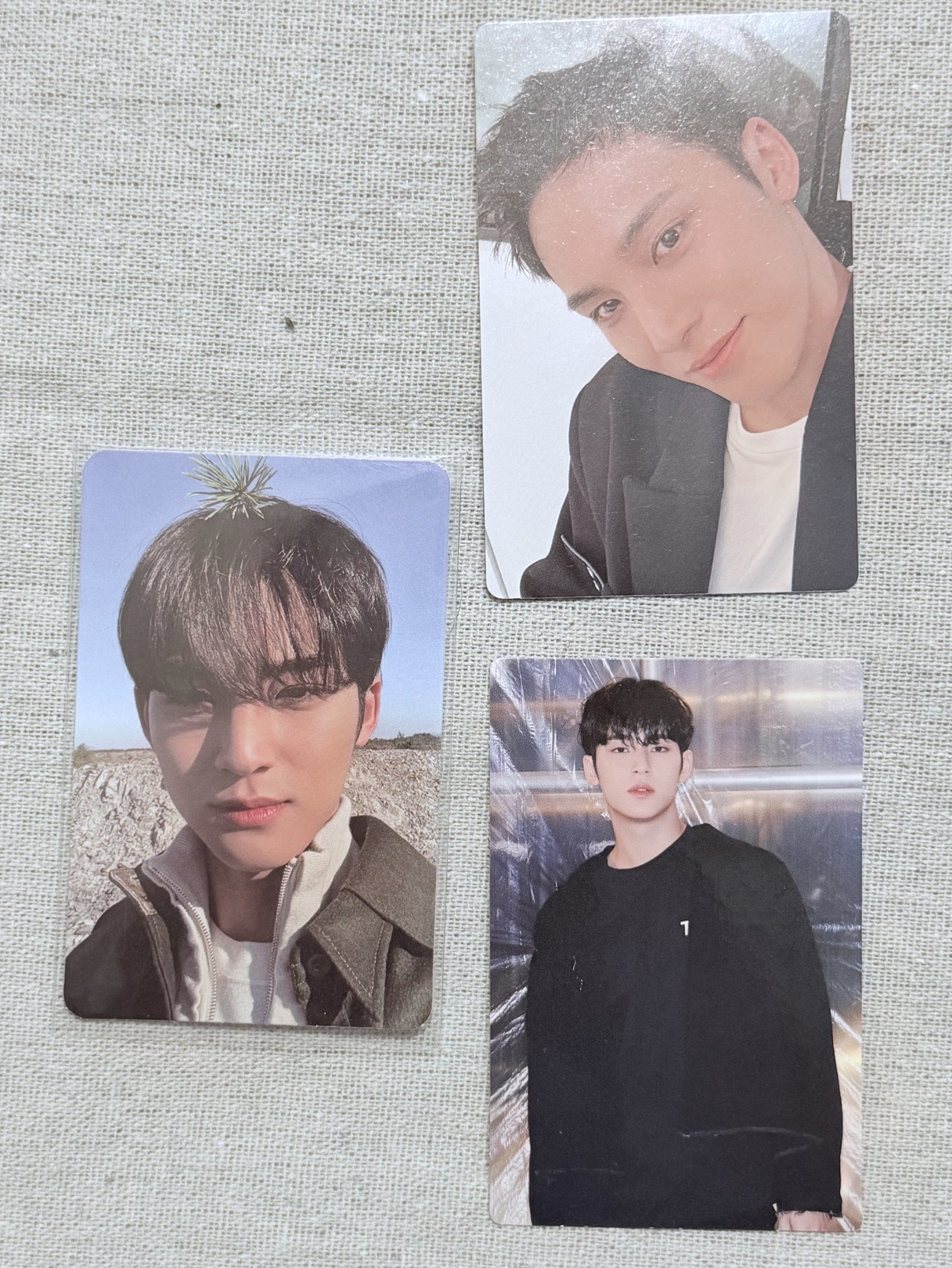 SEVENTEEN 珉奎 MINGYU face the sun 頂草奎 