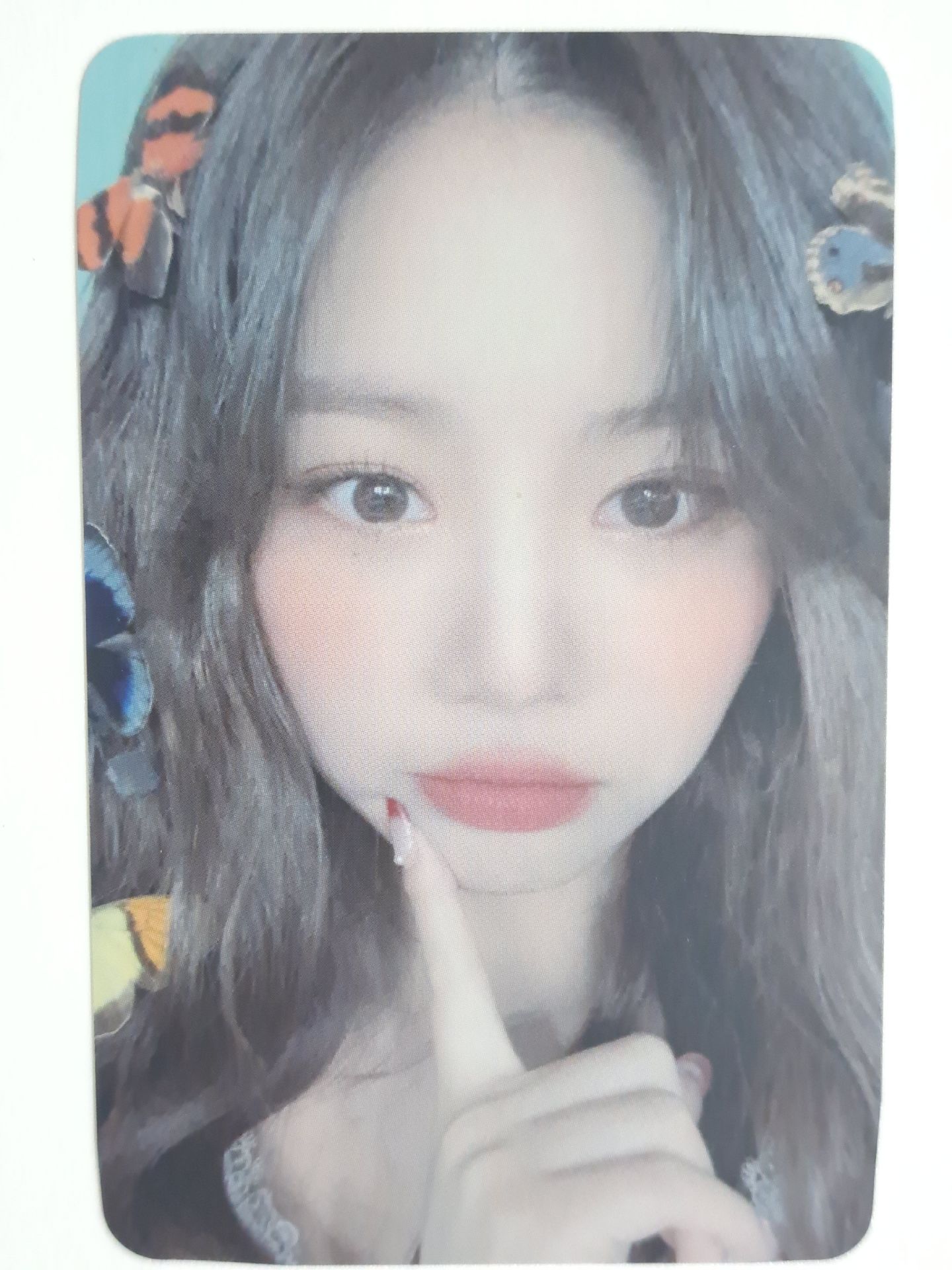 火花 k4 特典卡 蝴蝶珍