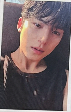 迷十二 環球大阪場限 奎