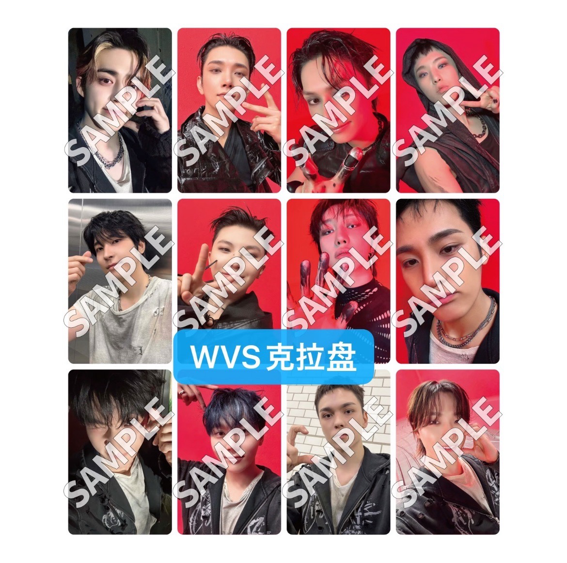 WVS預售CARAT特典