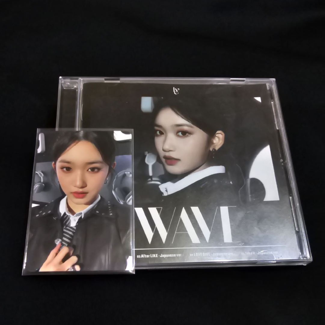 ［現貨］WAVE 李瑞單封 DIVE盤