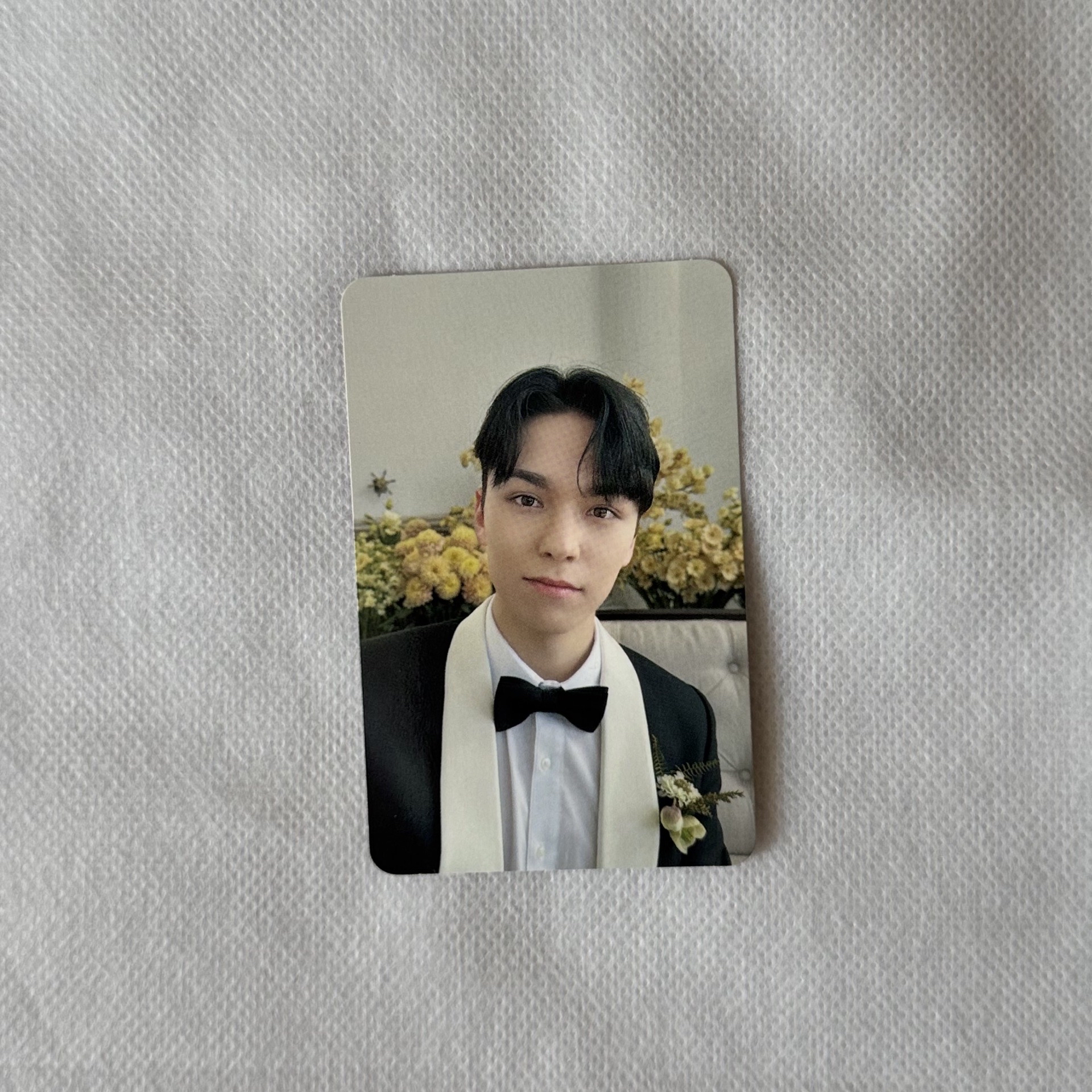 SEVENTEEN MINI10 克拉盤專卡｜Vernon🐻‍❄️